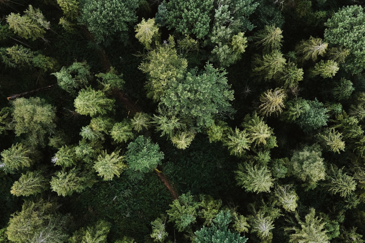 Reformas de Baño en Valencia Centro: Precios, Retos y Soluciones 2026